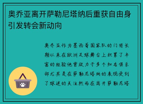 奥乔亚离开萨勒尼塔纳后重获自由身引发转会新动向
