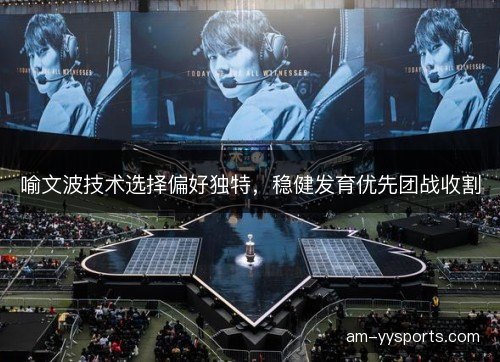 喻文波技术选择偏好独特,稳健发育优先团战收割 喻文波技术选择偏好独特,稳健发育优先团战收割